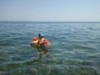 ONA_821006.jpg