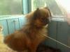 GALINA_304247.jpg