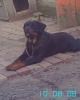 GALINA_387250.jpg