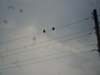 89627760849_172556.jpg
