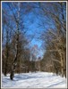 Roshen_718598.jpg
