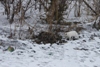 vitalic401_339975.jpg