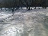 vitalic401_575665.jpg