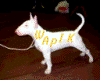 Shao-kahn_577981.gif