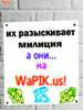 Skorpion13